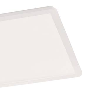 LED-plafondlamp Camillus IV Plexiglas - 1 lichtbron