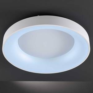 LED-Deckenleuchte Cameron Acrylglas - 1-flammig