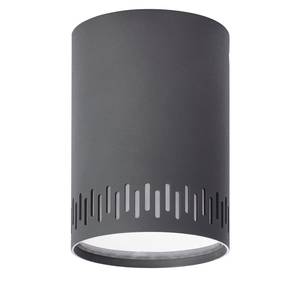 LED-plafondlamp Cavi VII Plexiglas/staal - 1 lichtbron