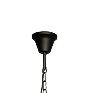 Suspension Blake Acier - 1 ampoule