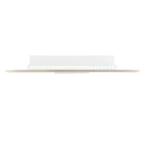 LED-plafondlamp Niven II plexiglas/staal - 1 lichtbron