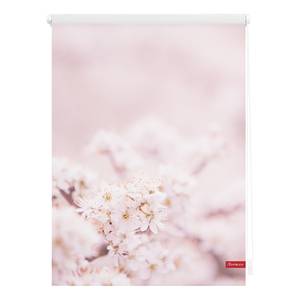 Store enrouleur cerisier en fleurs Tissu - Rose / Blanc - 100 x 150 cm