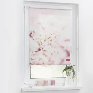 Store enrouleur cerisier en fleurs Tissu - Rose / Blanc - 100 x 150 cm