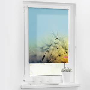 Klemmfix-Rollo Pusteblume Webstoff - Hellblau - 100 x 150 cm