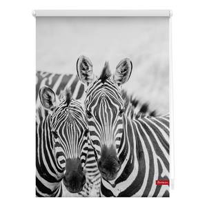 Klemmfix-Rollo Zebra Polyester - Schwarz / Weiß - 70 x 150 cm