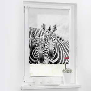 Klemmfix-Rollo Zebra Polyester - Schwarz / Weiß - 100 x 150 cm