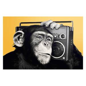 Bild Schimpanse Monkey II Safrangelb