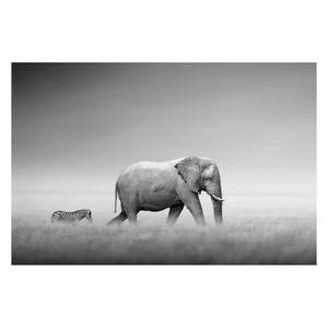 Tableau déco Elefant V Noir - Bois manufacturé - Papier - 90 x 60 x 2 cm