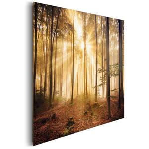 Bild Erleuchteter Wald Braun - Holzwerkstoff - Papier - 90 x 60 x 2 cm