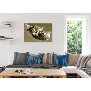Bild Katze Multicolor - Holzwerkstoff - Papier - 90 x 60 x 2 cm