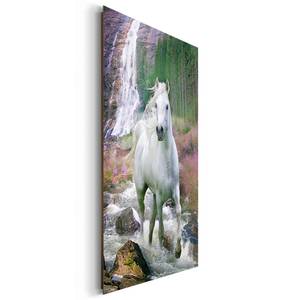 Bild Pferd Weiß - Holzwerkstoff - Papier - 60 x 90 x 2 cm