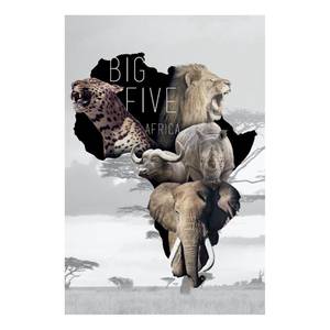 Afbeelding Safari Wit - Plaatmateriaal - Papier - 60 x 90 x 2 cm