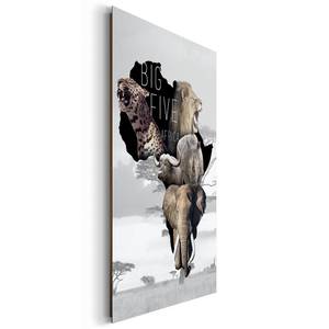 Afbeelding Safari Wit - Plaatmateriaal - Papier - 60 x 90 x 2 cm