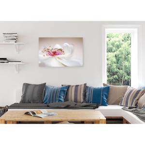 Bild Weiße Rose Weiß - Holzwerkstoff - Papier - 90 x 60 x 2 cm