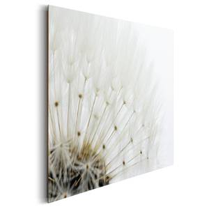 Tableau déco Pusteblume II Blanc - Bois manufacturé - Papier - 90 x 60 x 2 cm