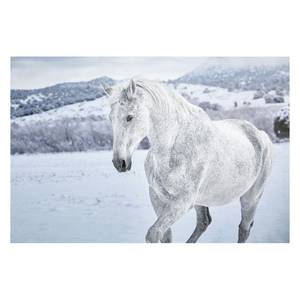 Bild Pferd im Schnee Weiß - Holzwerkstoff - Papier - 90 x 60 x 2 cm