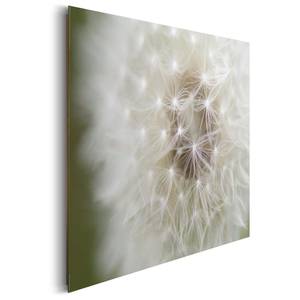 Tableau déco Pusteblume III Blanc - Bois manufacturé - Papier - 90 x 60 x 2 cm