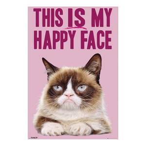 Afbeelding Grumpy Cat Roze - Plaatmateriaal - Papier - 60 x 90 x 2 cm