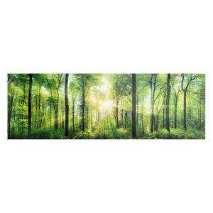 Bild Sommerwald Grün - Holzwerkstoff - Papier - 156 x 52 x 2 cm