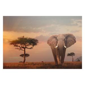 Bild Afrikas Wildtiere Braun - Holzwerkstoff - Papier - 90 x 60 x 2 cm
