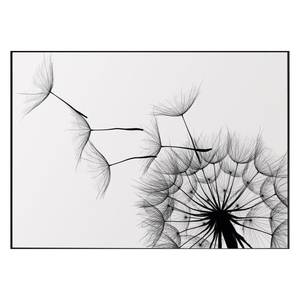 Tableau déco Pusteblume I Noir - Bois manufacturé - Papier - 70 x 50 x 1.2 cm