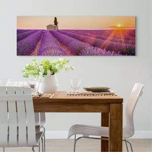Afbeelding Lavendel II Oranje - Plaatmateriaal - Papier - 156 x 52 x 2 cm