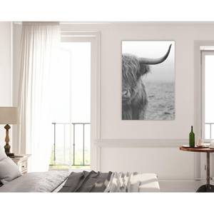 Afbeelding Bull II Zwart - Plaatmateriaal - Papier - 60 x 90 x 2 cm