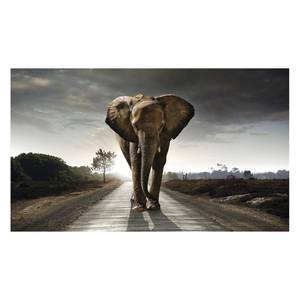 Afbeelding Olifant II Bruin - Plaatmateriaal - Papier - 118 x 70 x 2 cm