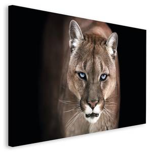 Bild Puma Braun - Holzwerkstoff - Papier - 118 x 70 x 2 cm