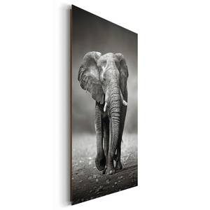 Tableau déco Elefant III Noir - Bois manufacturé - Papier - 60 x 90 x 2 cm