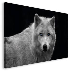 Tableau déco Wolfsauge Blanc - Bois manufacturé - Papier - 118 x 70 x 2 cm