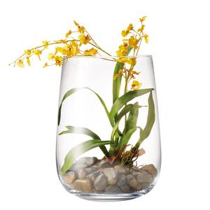 Kunstpflanze Orchidee Terra Glas