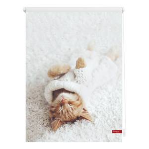 Rolgordijn Sleepy Cat Geweven stof - wit - 60 x 150 cm