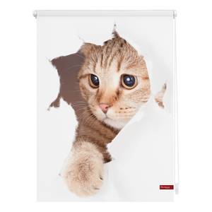 Rolgordijn Kat Geweven stof - wit/bruin - 120 x 150 cm