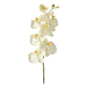 Fleur artificielle Fiore II Matière plastique - Blanc perlé