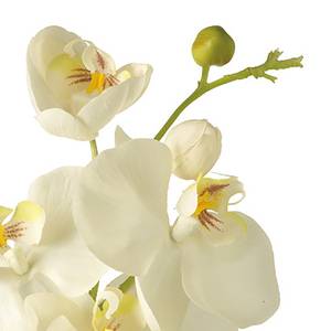 Kunstblume Fiore II Kunststoff - Weiß - Perlweiß