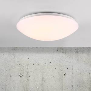 LED-plafondlamp Ask Vinyl/staal - 1 lichtbron - Diameter: 36 cm