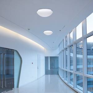 LED-plafondlamp Heyda Melkglas/roestvrij staal - 1 lichtbron