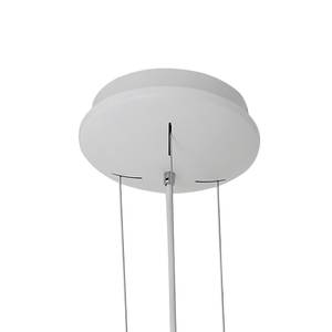 LED-hanglamp Frisbee II Plexiglas/roestvrij staal - 1 lichtbron