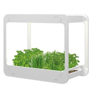 Staande LED-lamp Garden Plexiglas - 1 lichtbron