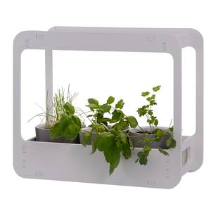 Staande LED-lamp Garden Plexiglas - 1 lichtbron