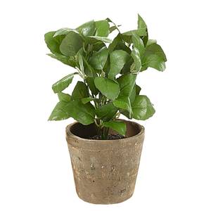 Kunstpflanze Cinnington Kunststoff / Keramik - Grün / Terra