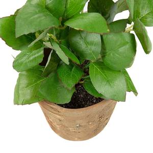 Kunstpflanze Cinnington Kunststoff / Keramik - Grün / Terra
