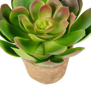 Kunstpflanze Diest Kunststoff / Keramik - Grün / Terra