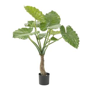 Kunstpflanze Jalhay (2-teilig) Kunsstoff - Grün / Schwarz