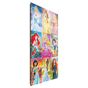 Tableau déco Disney's Princesses II Papier sur MDF (panneau de fibres à densité moyenne) - Multicolore