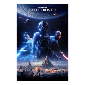 Bild Star Wars Battlefront II Papier auf MDF (Mitteldichte Holzfaserplatte) - Mehrfarbig