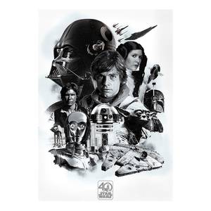 Afbeelding Star Wars black and white papier op MDF - meerdere kleuren