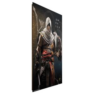 Tableau déco Assassin`s Creed Origins Papier sur MDF (panneau de fibres à densité moyenne) - Multicolore