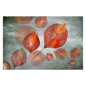 Tableau déco Flying Leaves Multicolore